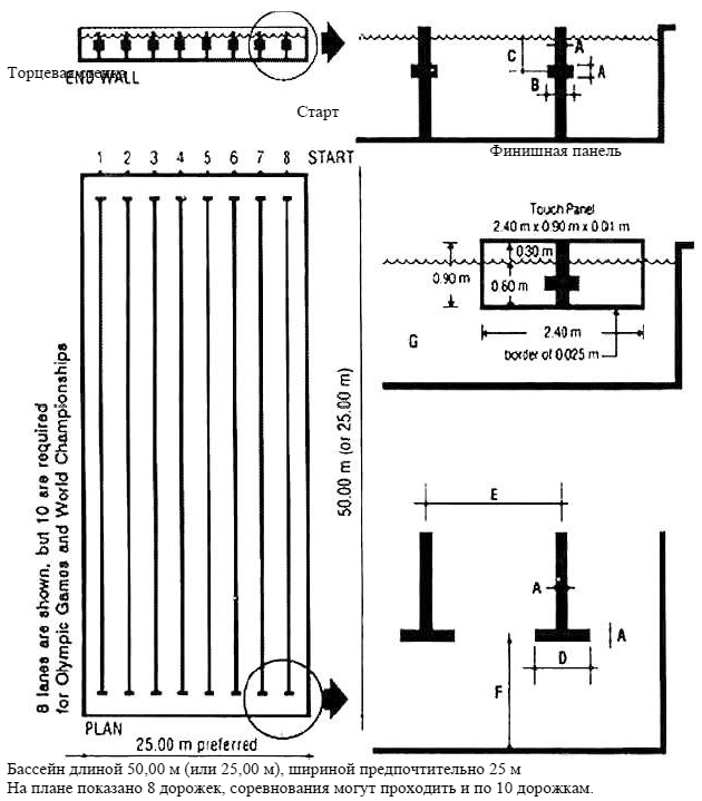 Длина 25 м. Разметка дорожек плавательного бассейна 50 м. Разметка плавательного бассейна 25 м. Разметка дорожек для 50м бассейна. Ширина дорожки плавательного бассейна 25 м.