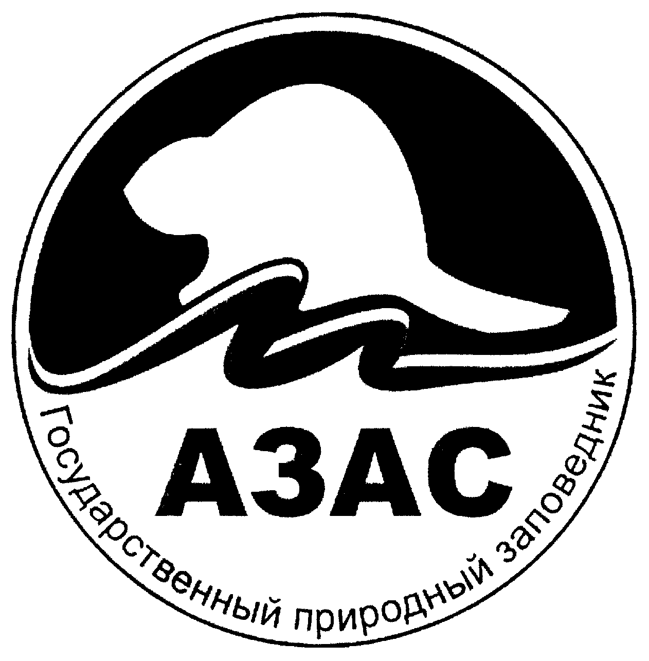 тыва озеро азас