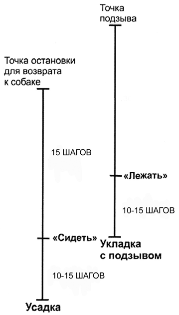 Схема бх для собак