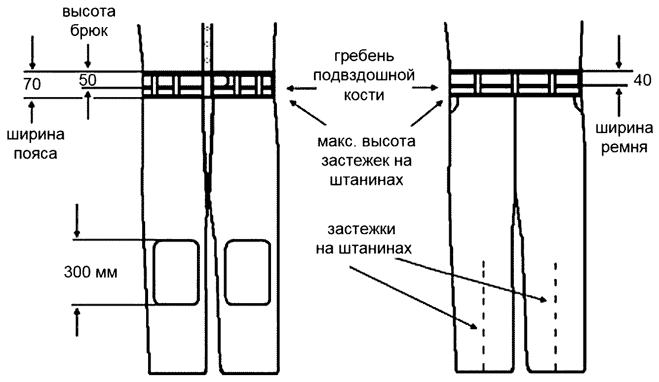 Правила вида спорта