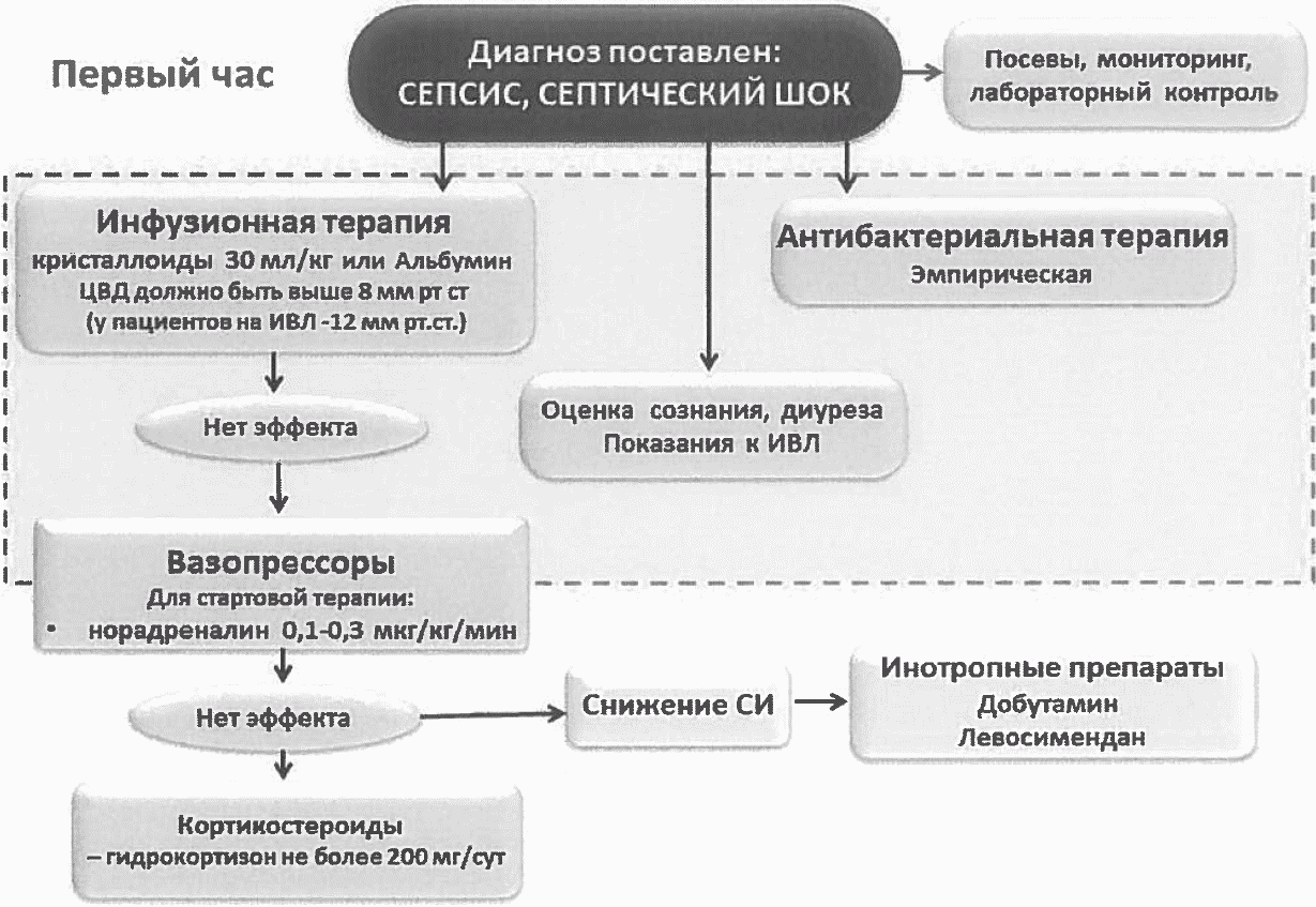 Клинические рекомендации акушерство. Начальная терапия сепсиса, септического шока. Алгоритм лечения септического шока. Алгоритм диагностики септического шока. Терапия септического шока клинические рекомендации.