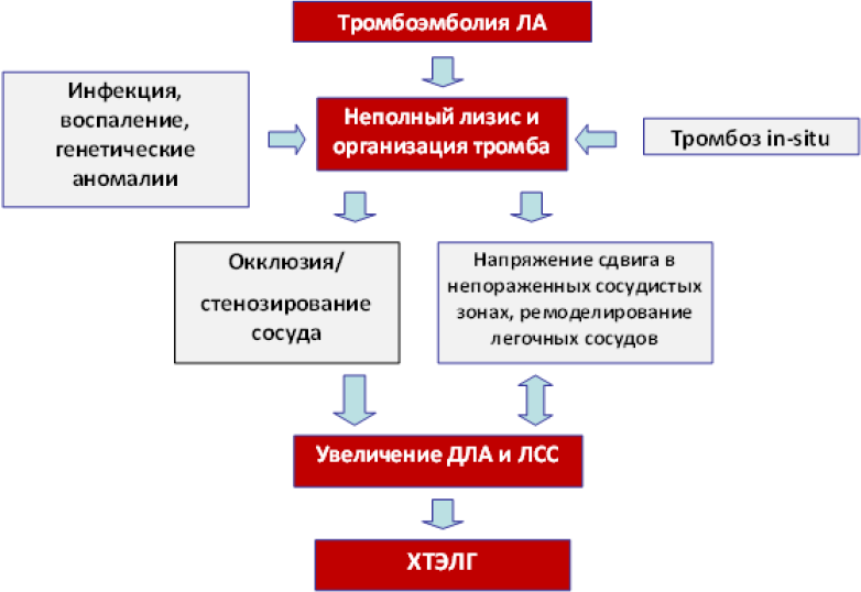 Антагонисты Кальция При Легочной Гипертензии