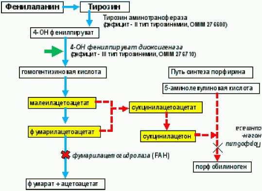 Международная классификация болезней полости рта, слюнных желёз и челюстей (МКБ-10)