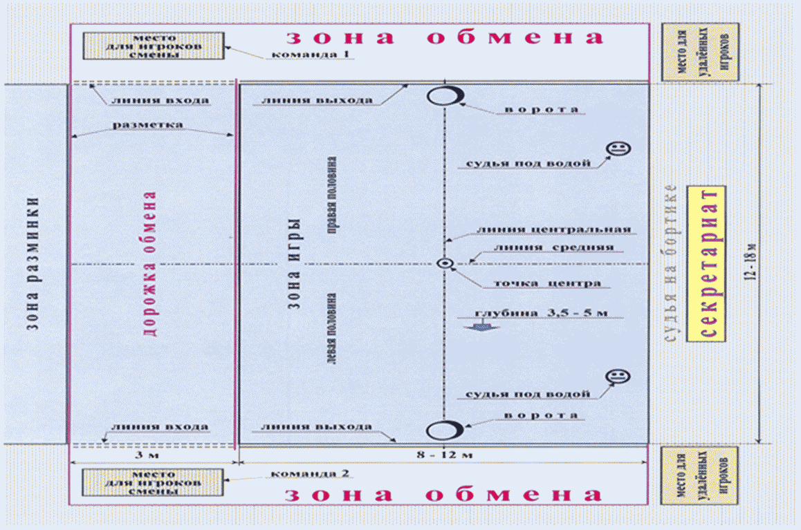 Правила вида спорта