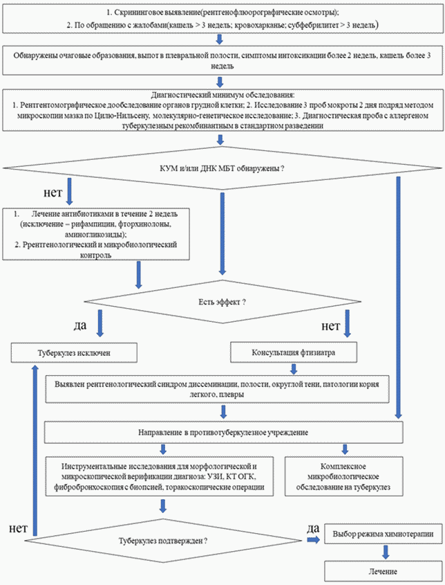 Схема диагностики туберкулеза