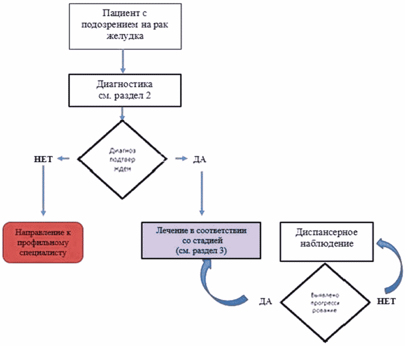 Схема диагностических мероприятий при наличии опухоли в желудке