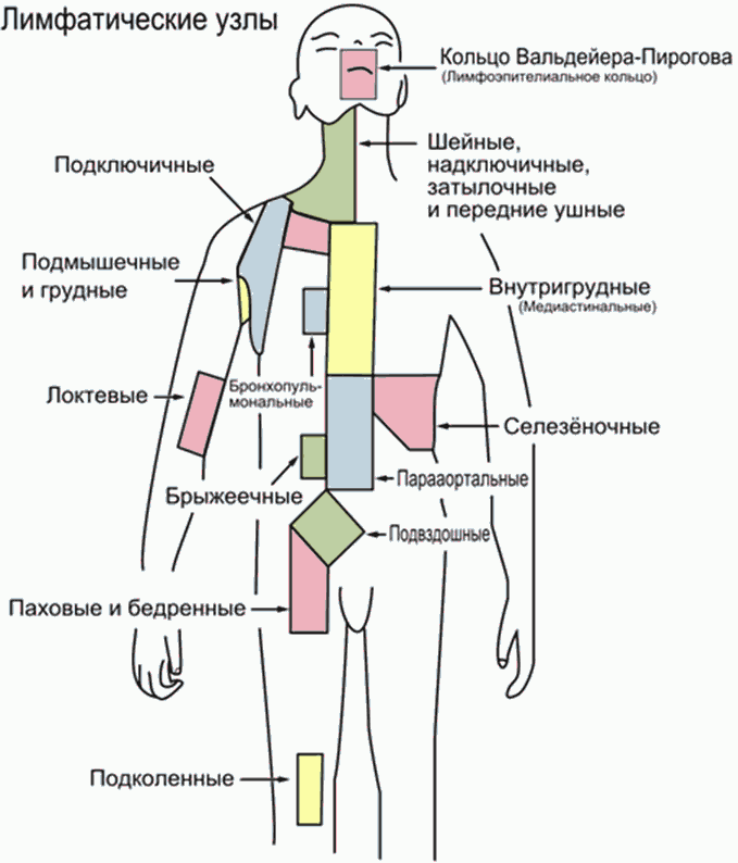 Карта вызова ушибленная рана лобной области