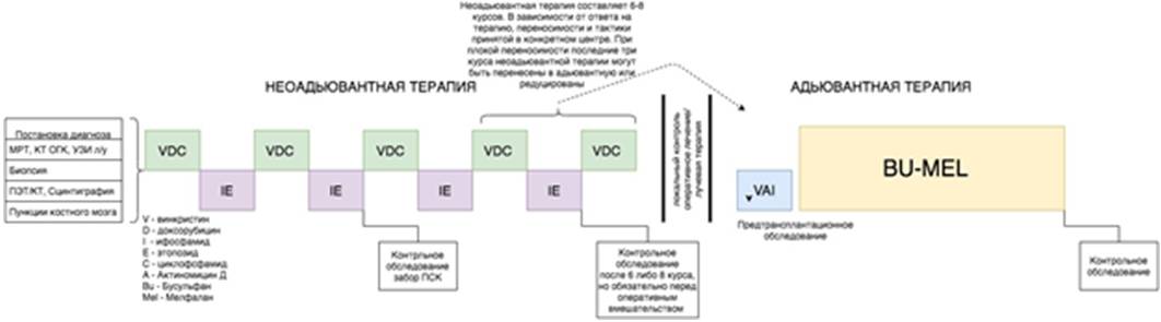 Саркомы костей клинические рекомендации тест нмо. Протокол евро Юинг 2012. Euro Ewing 2012 протокол лечения. Протокол Euro Ewing 2012 на русском. Euro Ewing 2012.