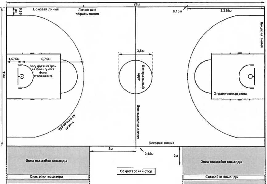 Баскетбольная площадка рисунок со всеми обозначениями