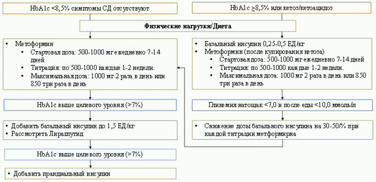 ДИАГНОСТИКА ФУНКЦИИ ПОДЖЕЛУДОЧНОЙ ЖЕЛЕЗЫ