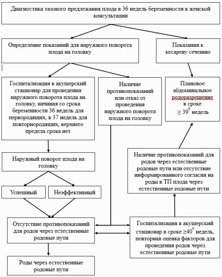 Тазовые роды. Диагностика тазового предлежания. Методы диагностики тазовых предлежаний плода. Тазовое предлежание клинические рекомендации. Тазовые предлежания плода клинические рекомендации.