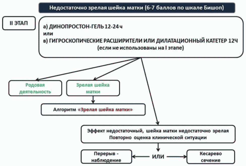 Мифепристон 39 Неделя