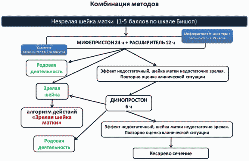 Мифепристон При Раскрытии В 2 Пальца