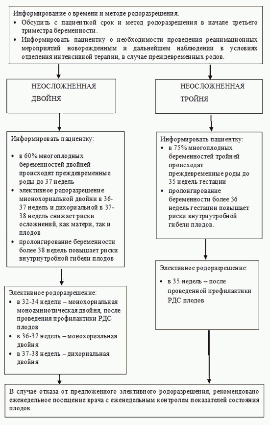 УЗИ при многоплодной беременности | Центр медицины плода «Медика»