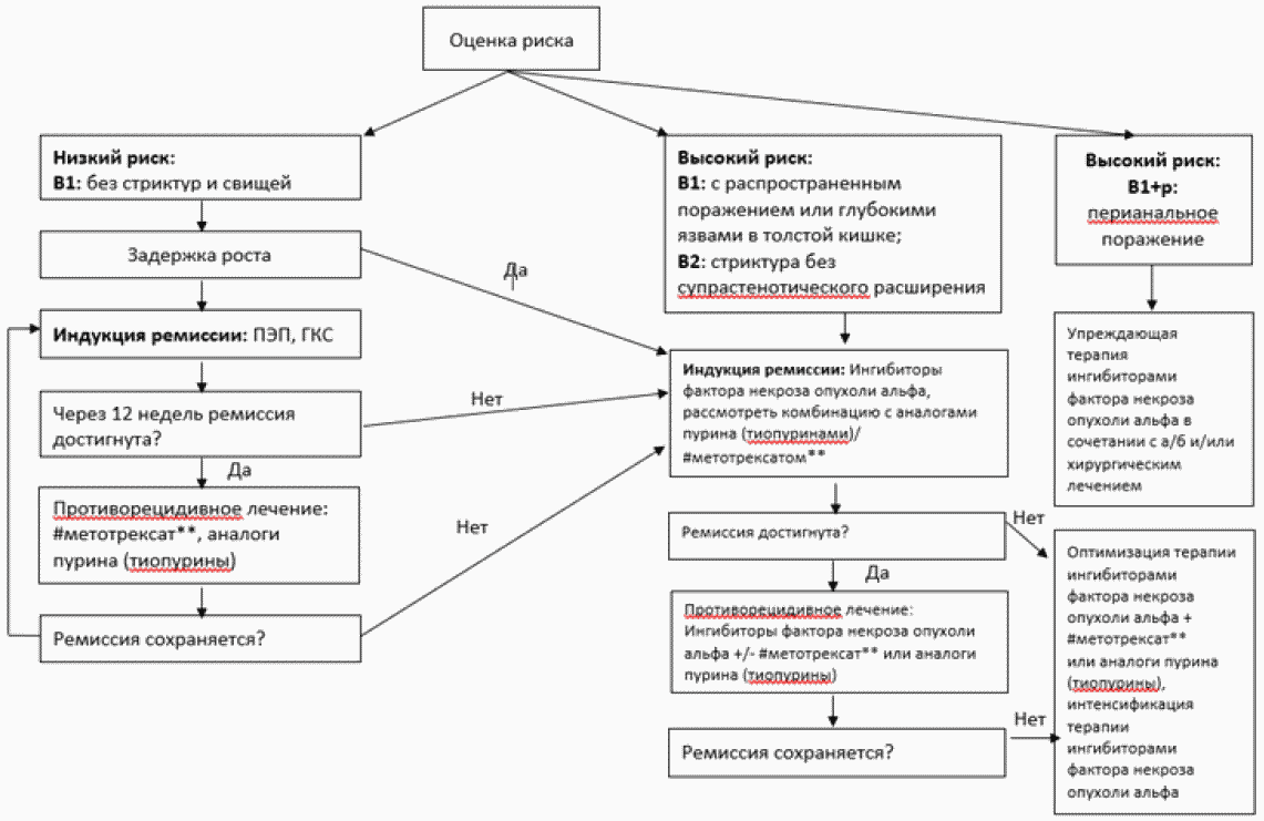 Рубрикатор кр клинические рекомендации. Алгоритм внедрения клинических рекомендаций. Клинические рекомендации в схемах. Алгоритм лечения АО.