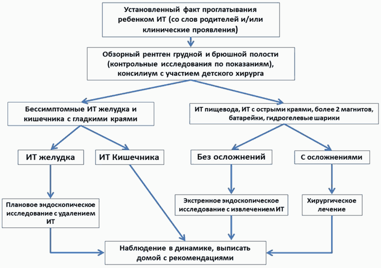 Преимущества рентгендиагностики у животных
