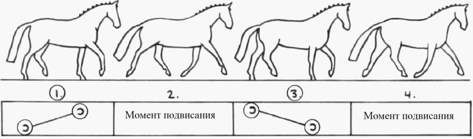 Шаг рысь схема