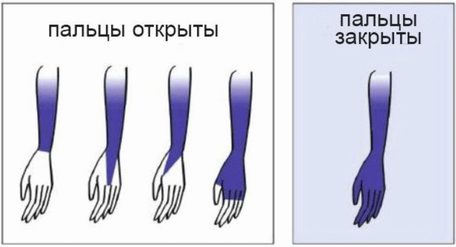 Правила вида спорта