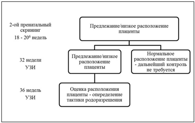 Как понять что скоро рожаешь - Первые признаки наступления родов у женщины